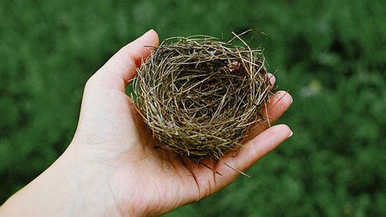 A hand holding an empty bird's nest