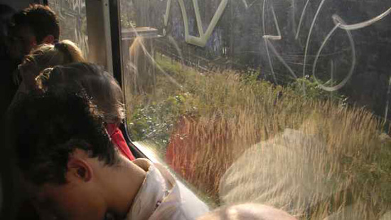 View from inside a city bus, looking at a vacant lot overgrown with grass