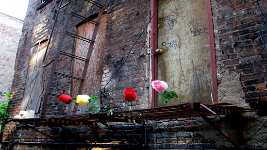 Plastic roses on a derelict fire escape