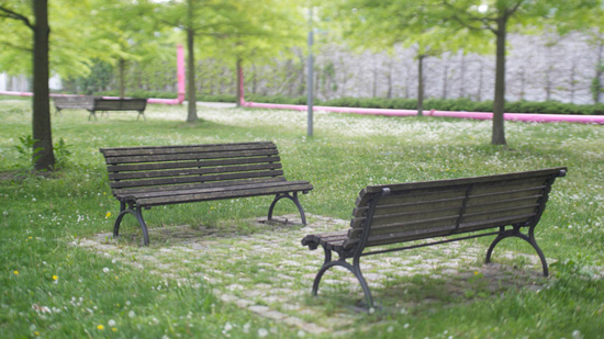 Two empty benches in a park facing each other