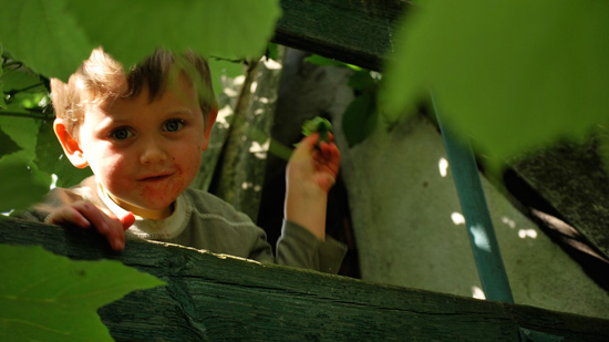 Image of a child in foliage