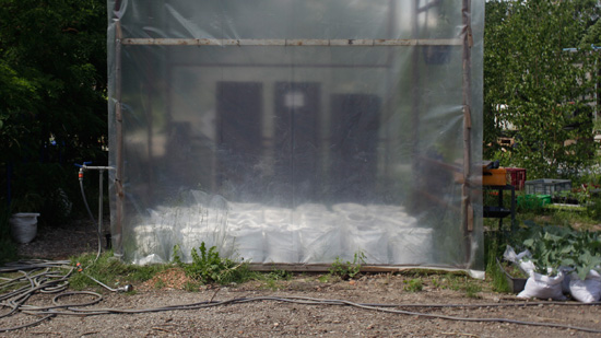 A greenhouse