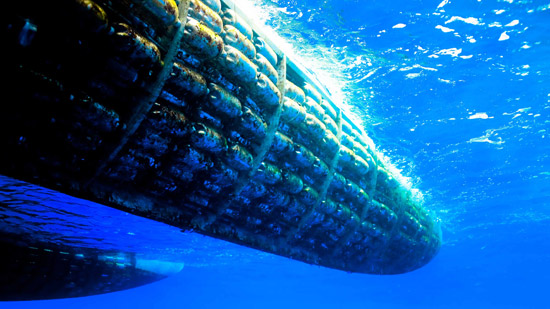 Photograph of the Plastiki, a vessel made from repurposed plastic bottles