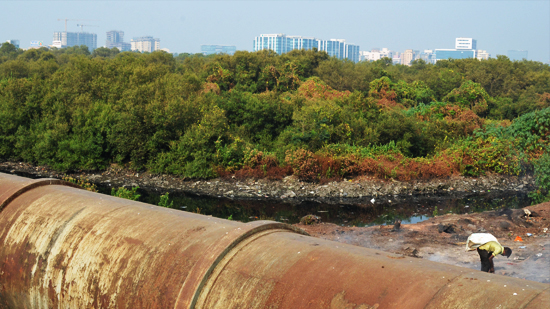 Sewage pipe with city in the distance